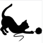 Stitch Witch logo